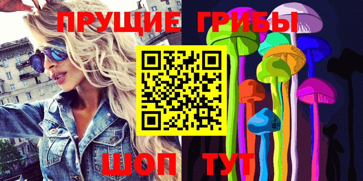Псилоцибиновые грибы мицелий Новочеркасск